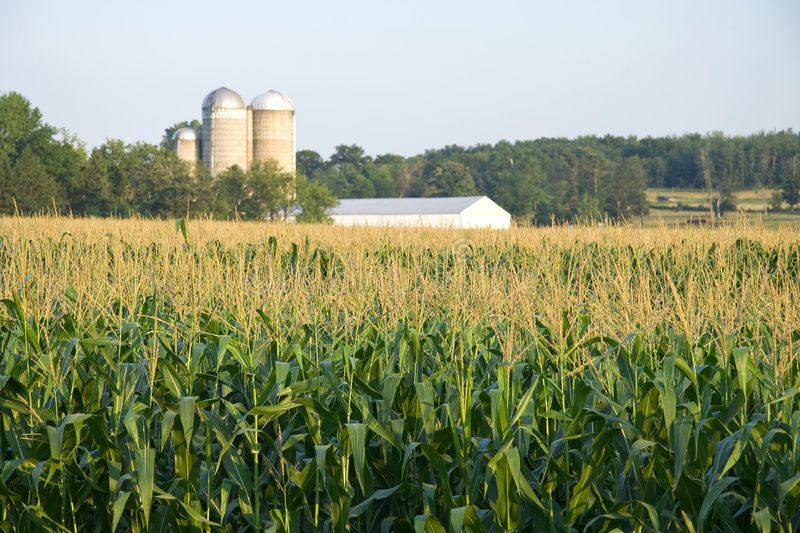 Farm imagery — Agrikima Academy training