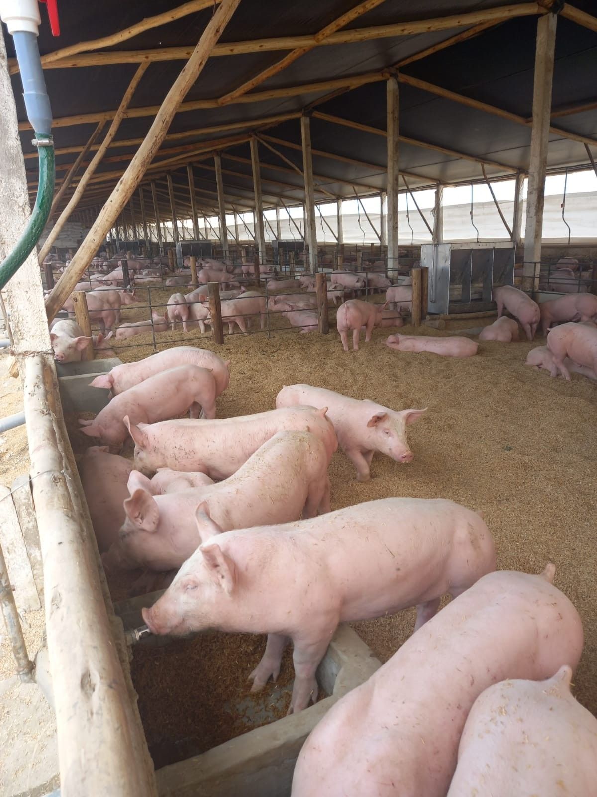 Farm imagery — Agrikima Academy training