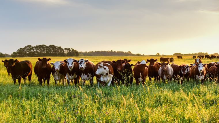 Training articles and resources from Agrikima